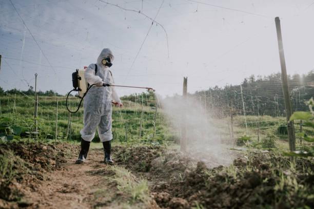 Best Wasp Removal Services  in Purdy, WA