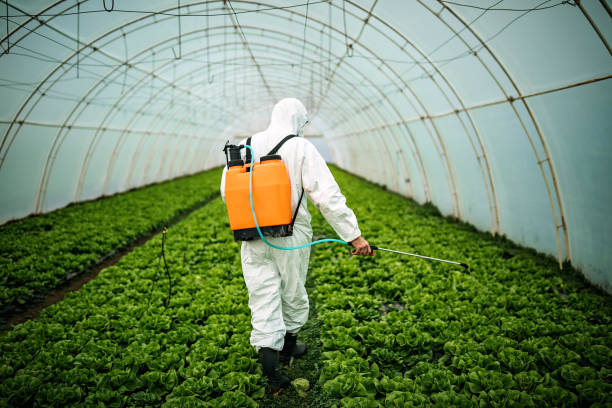 Pest Control Cost in Purdy, WA