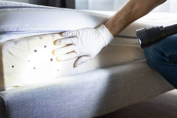 Best Pest Inspection Near Me  in Purdy, WA